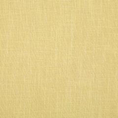 Robert Allen Maliko Bay Lemongrass Essentials Multi Purpose Collection Indoor Upholstery Fabric