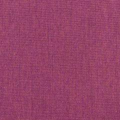 Robert Allen Sunbrella Realistic Berry Crush Essentials Collection Upholstery Fabric