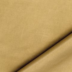 Robert Allen Ultima Twig Essentials Multi Purpose Collection Indoor Upholstery Fabric