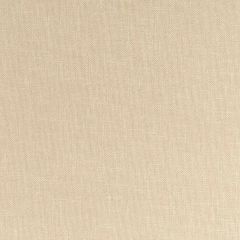 Robert Allen Subtle Mood Raffia Essentials Multi Purpose Collection Indoor Upholstery Fabric