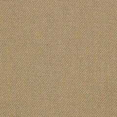 Robert Allen Stellar Solid Brindle Home Upholstery Collection Indoor Upholstery Fabric