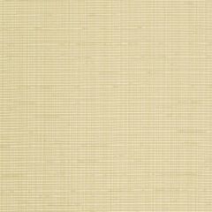 Robert Allen Tower Bridge Gold Leaf 236000 Solids & Textures Collection Multipurpose Fabric