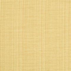 Robert Allen Tower Bridge Honey Essentials Multi Purpose Collection Indoor Upholstery Fabric