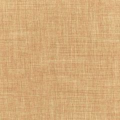 Robert Allen Desert Hill Praline Essentials Multi Purpose Collection Indoor Upholstery Fabric