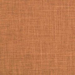 Robert Allen Desert Hill Auburn Essentials Multi Purpose Collection Indoor Upholstery Fabric