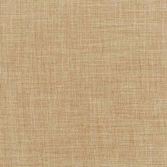 Robert Allen Desert Hill Toast Essentials Multi Purpose Collection Indoor Upholstery Fabric