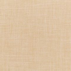 Robert Allen Desert Hill Beige Essentials Multi Purpose Collection Indoor Upholstery Fabric