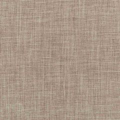 Robert Allen Desert Hill Brindle Essentials Multi Purpose Collection Indoor Upholstery Fabric