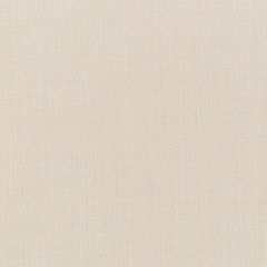 Robert Allen Desert Hill Vanilla Essentials Multi Purpose Collection Indoor Upholstery Fabric