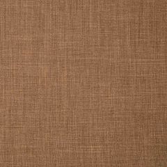 Robert Allen Desert Hill Chocolate Essentials Multi Purpose Collection Indoor Upholstery Fabric