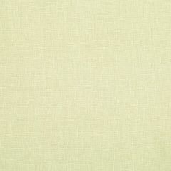 Robert Allen Kilrush II Honeydew Essentials Multi Purpose Collection Indoor Upholstery Fabric