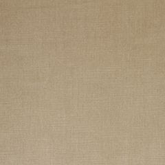 Robert Allen Savoy Vanilla 082236 Velvet Luxe Collection Indoor Upholstery Fabric
