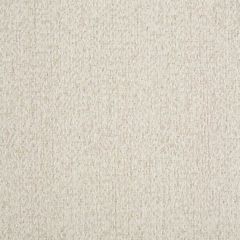 Kravet Contract 35118-111 Crypton Incase Collection Indoor Upholstery Fabric