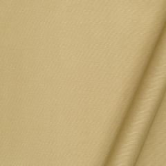 Robert Allen Nyori Amber 238572 Solids & Textures Collection Multipurpose Fabric