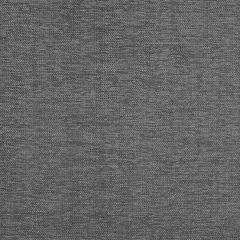 Beacon Hill Villa Metallic Pewter Indoor Upholstery Fabric