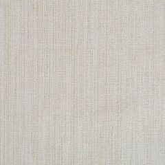 Beacon Hill Villa Metallic Eggshell Indoor Upholstery Fabric