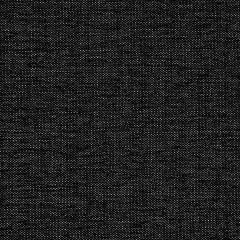 Beacon Hill Villa Metallic Black Indoor Upholstery Fabric