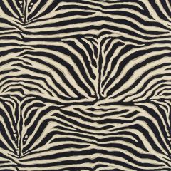 Robert Allen Zaza Ink Essentials Collection Indoor Upholstery Fabric