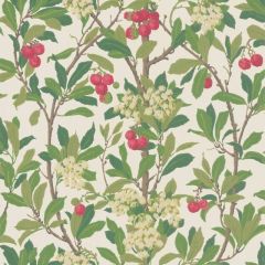 Cole and Son Strawberry Tree Scarlet and Ivory 100-10049 Archive Anthology Collection Wall Covering