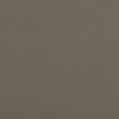 Kravet Contract Gunmetal 21 Faux Leather Extreme Performance Collection Upholstery Fabric