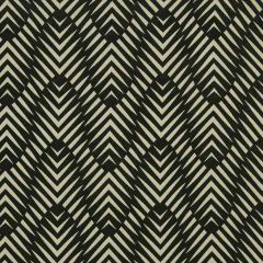Robert Allen Zebra Geo Ink 226544 DwellStudio Modern Color Theory Collection Indoor Upholstery Fabric