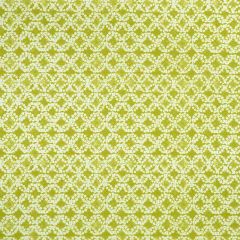 Clarke and Clarke Citrus F1011-03 Batik Collection Drapery Fabric