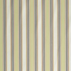 Robert Allen Michiba Stripe Sunray 240693 Botanical Color Collection Indoor Upholstery Fabric