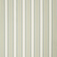 Robert Allen Michiba Stripe Water 240694 Botanical Color Collection Indoor Upholstery Fabric