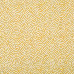 Robert Allen High Run Sunray Color Library Collection Indoor Upholstery Fabric