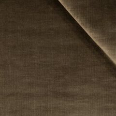 Robert Allen Strie Velvet Truffle Essentials Collection Indoor Upholstery Fabric