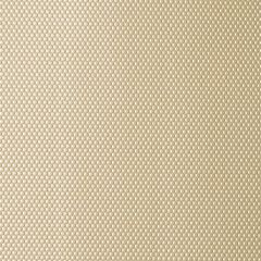 Kravet Design Carrai Gold Dust 14 Performance Sta-Kleen Collection Indoor Upholstery Fabric