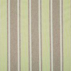 Robert Allen Little Brooke Spring Grass Color Library Collection Indoor Upholstery Fabric