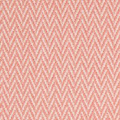 Robert Allen Nesting Zigzag Coral Reef Color Library Collection Indoor Upholstery Fabric