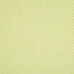 Robert Allen Nesting Zigzag Spring Grass Color Library Collection Indoor Upholstery Fabric