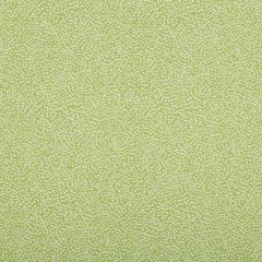 Robert Allen Bedrock Spring Grass Color Library Collection Indoor Upholstery Fabric