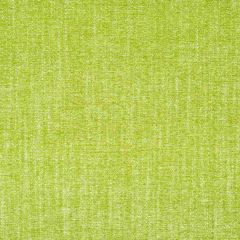 Robert Allen Dream Chenille Grass Essentials Collection Indoor Upholstery Fabric