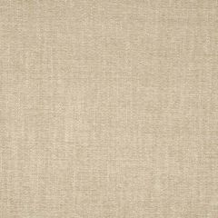 Robert Allen Dream Chenille Birch Essentials Collection Indoor Upholstery Fabric