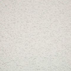 Beacon Hill Echo Boucle Silver Indoor Upholstery Fabric