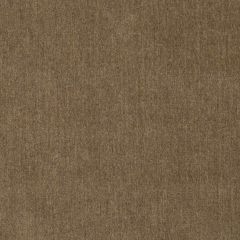 Beacon Hill Briar Velvet Dark Taupe Indoor Upholstery Fabric