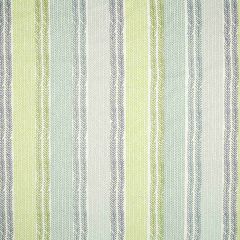Robert Allen Mixed Tracks Spring Grass Color Library Collection Indoor Upholstery Fabric