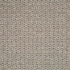 Beacon Hill Wild Side Ash Indoor Upholstery Fabric