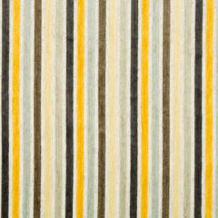 Robert Allen Kara Stripe Honeysuckle Color Library Collection Indoor Upholstery Fabric