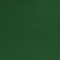 Beacon Hill Lady Elsie Evergreen Indoor Upholstery Fabric