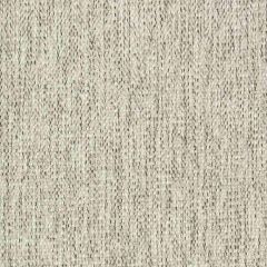 Stout Acosta Fog 3 New Beginnings Performance Collection Indoor Upholstery Fabric