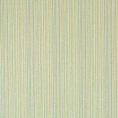 Robert Allen Contract Stitch Effect Lime Indoor Upholstery Fabric