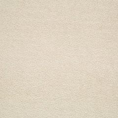 Beacon Hill Torri Solid Ivory Indoor Upholstery Fabric