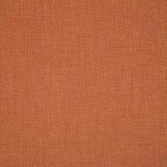 Robert Allen Contract Canvas Texture Sienna Indoor Upholstery Fabric