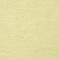 Robert Allen Peyton Lemongrass Essentials Multi Purpose Collection Indoor Upholstery Fabric