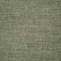 Robert Allen Arista Chalkboard Essentials Multi Purpose Collection Indoor Upholstery Fabric