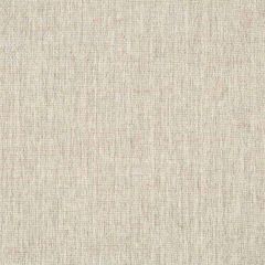 Robert Allen Arista Mica Essentials Multi Purpose Collection Indoor Upholstery Fabric